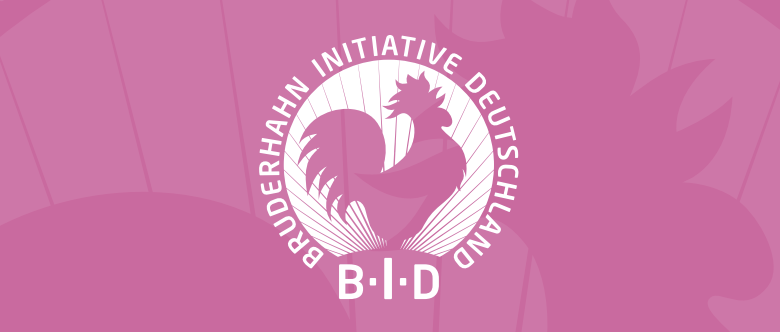 bruderhahn-de_bruderhahn_initiative_deutschland_bid_projektplan_download-pdf