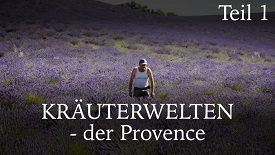 Kräuterwelten der Provence
